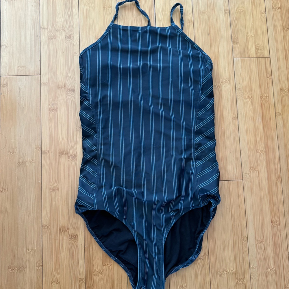 Albion Fit Striped Blue One-Piece Swimsuit